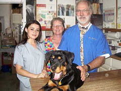 vet clinic fayetteville ar,Services Offered