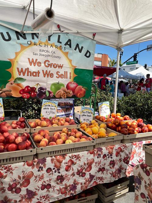 farmers market bentonville ar,Market Layout and Hours