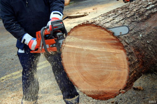 tree removal service little rock ar,Tree Removal Service Little Rock AR: A Comprehensive Guide