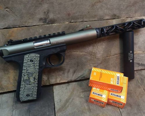 22 lr ar,Understanding the 22 LR Cartridge