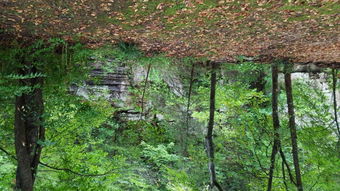 lost valley canoe & lodging ponca ar,Accommodations